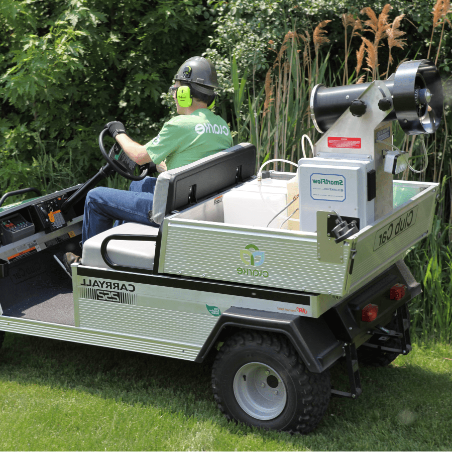 mosquito control spraying in club car